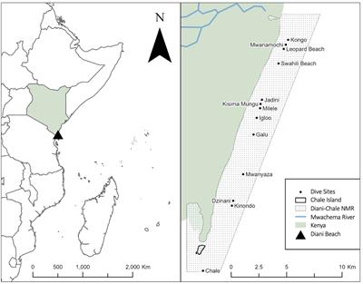 Using Photo-ID to document and monitor the prevalence of fibropapilloma tumours in a foraging aggregation of green turtles